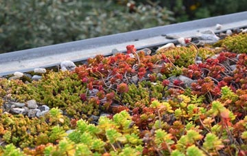 the cost of Sutterton Dowdyke green roof installation