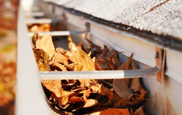 Sutterton Dowdyke gutter cleaning companies