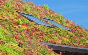 Sutterton Dowdyke living roof systems