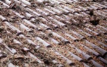 Sutterton Dowdyke roof cleaning companies