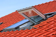 Sutterton Dowdyke roof window